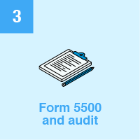 Form 5500 and Audit