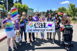 A gathering of people representing Cat Adoption Team
