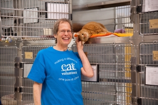 A Cat Adoption Team volunteer petting an orange cat in a kennel