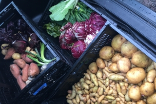 Crates of potatoes, red cabbage and other vegetables