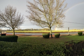 A rainbow appearing in front of the SafeHaven Humane Society location