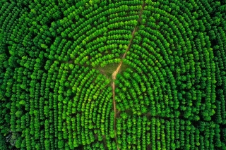 Environmental, Social and Governance Report