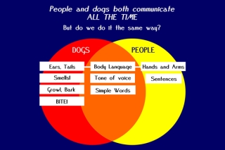Dog-people communication Venn diagram