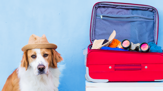 Travel Assistance Can Protect Clients During Holiday Travel
